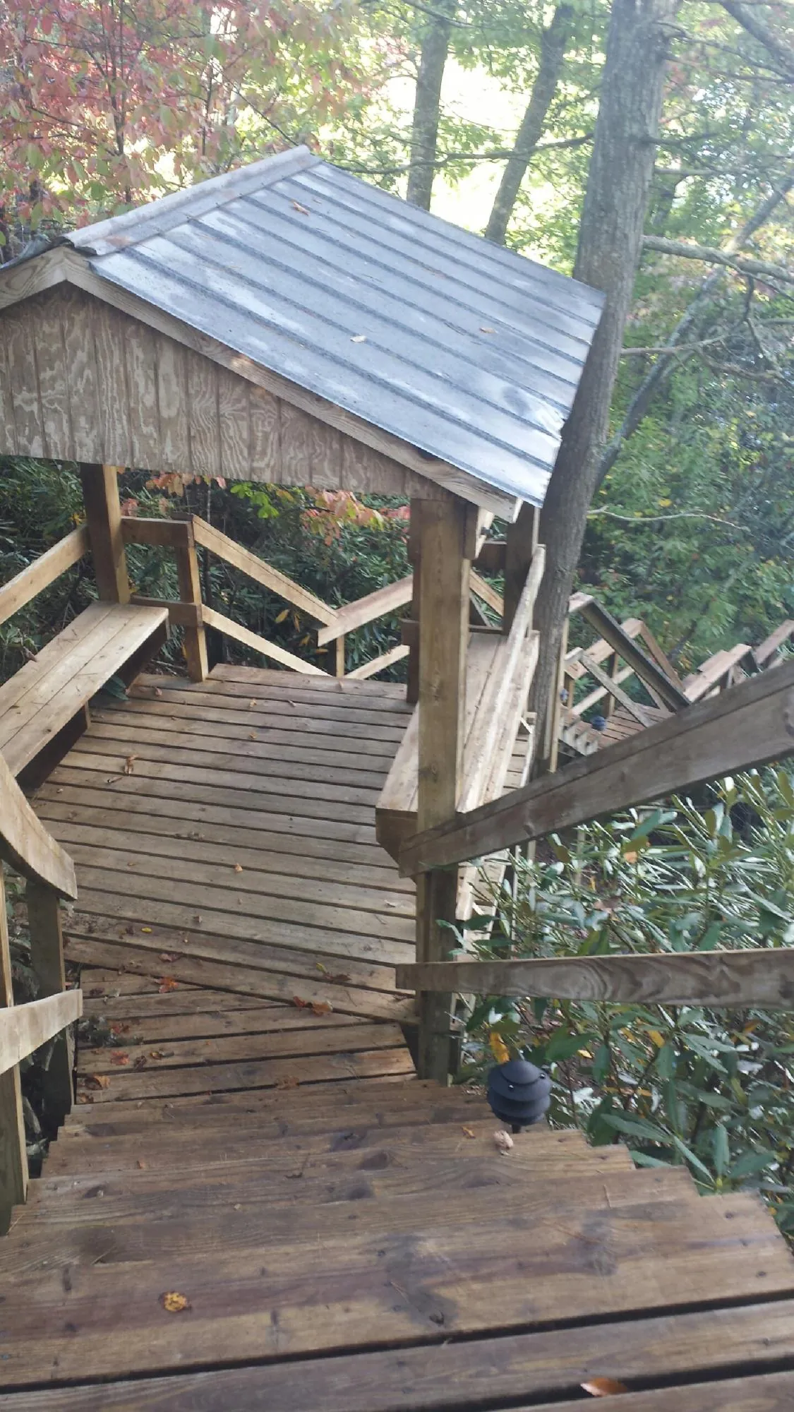 Metal roofed shelter over wooden steps on a wooded walkway — Skylight Repair & Installation work by our crew in Zebulon
